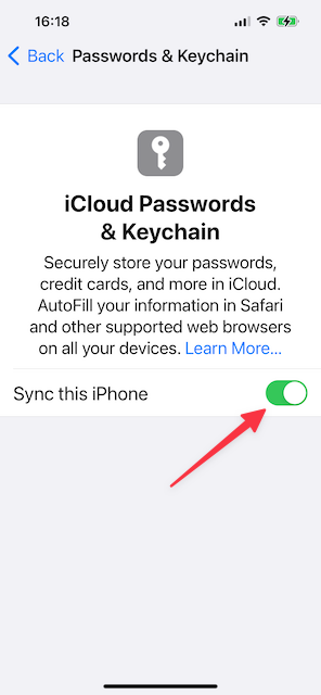 iOS iCloud Keychain Settings