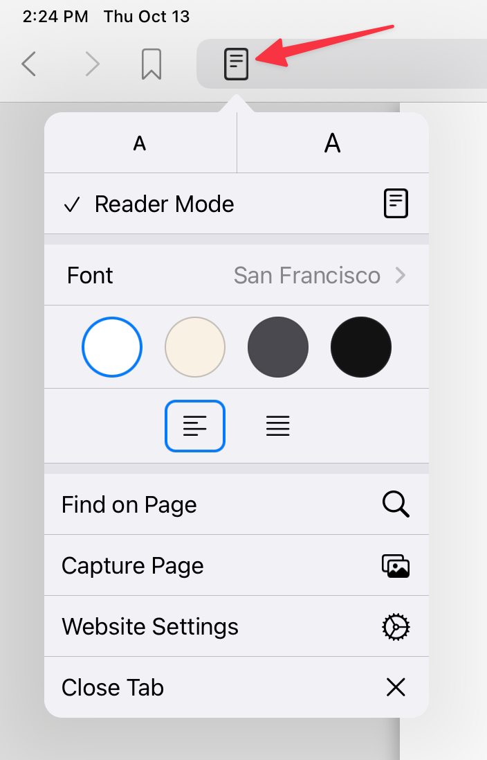 iPadOS Reader Options