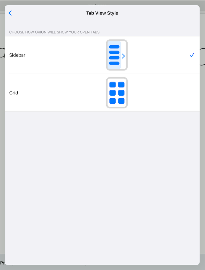 iPadOS Tabs Settings Detail