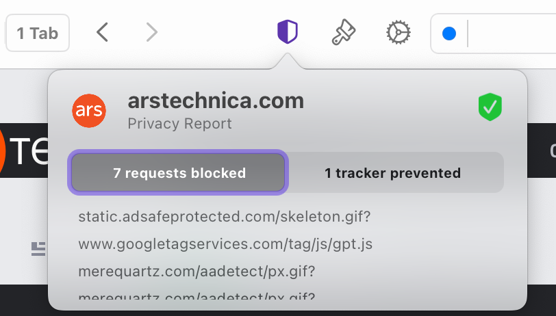 Privacy Report Details