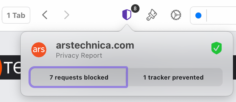 Privacy Report Summary
