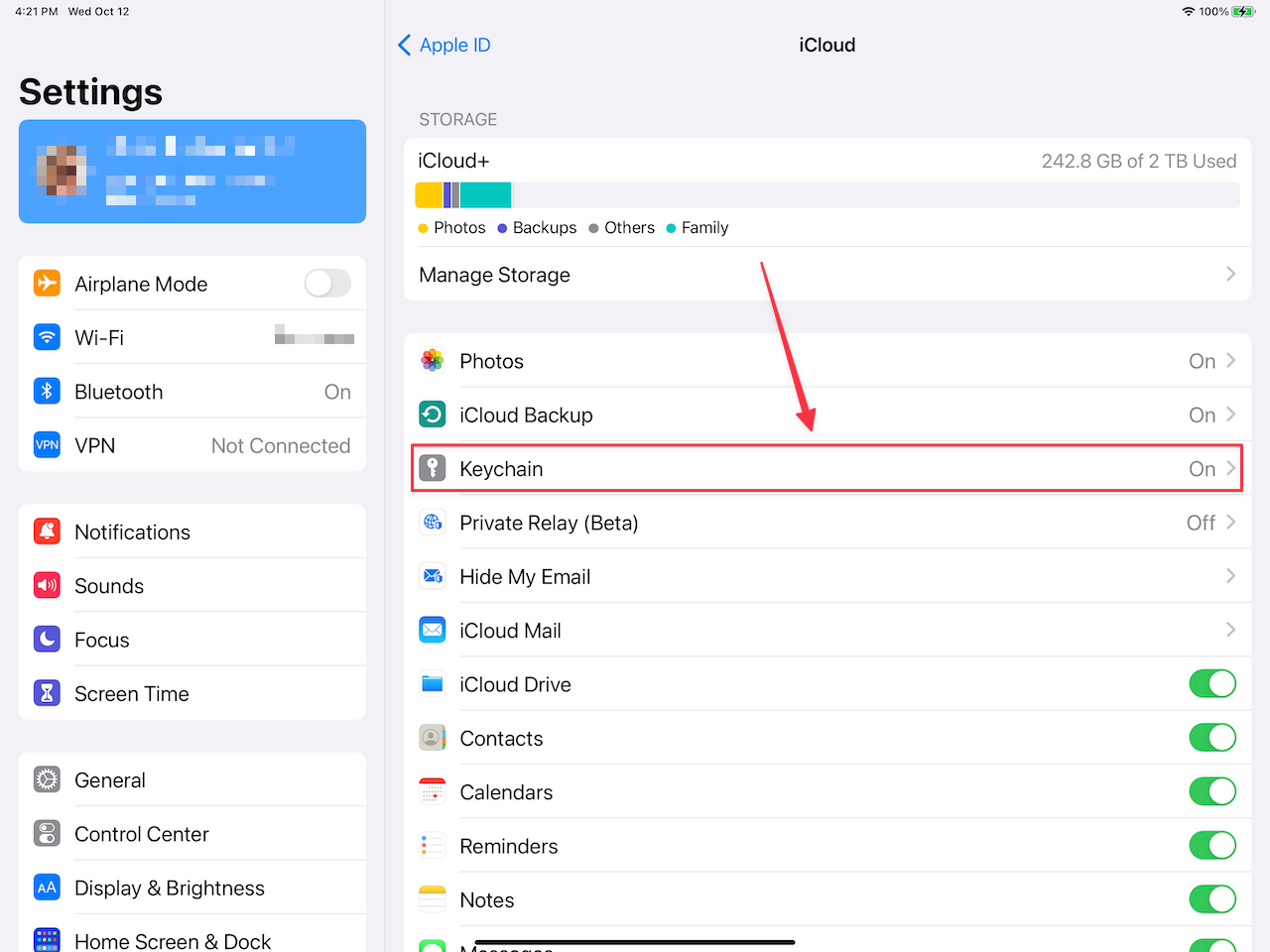 iPadOS iCloud Settings for Keychain