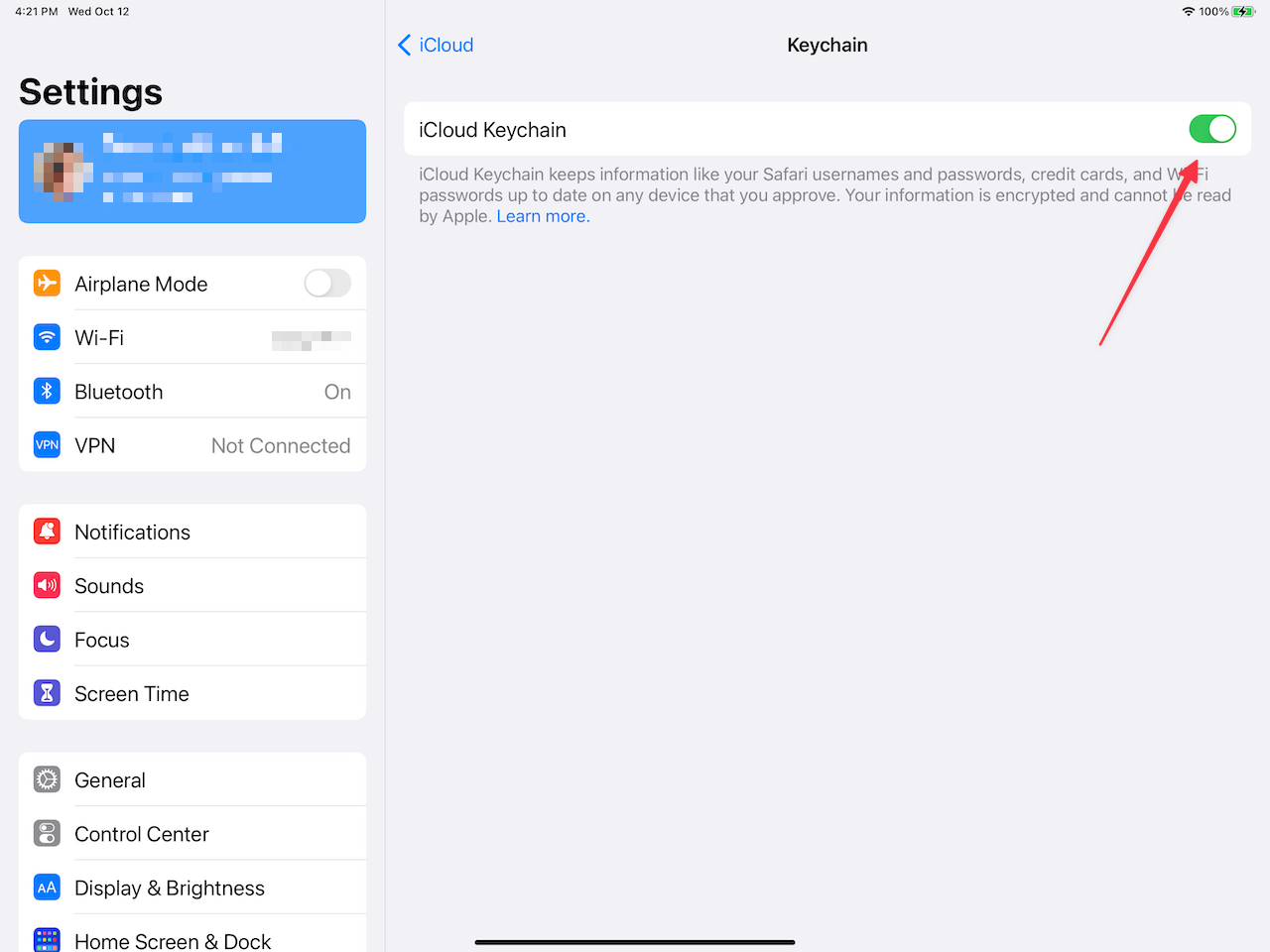 iPadOS iCloud Keychain Settings