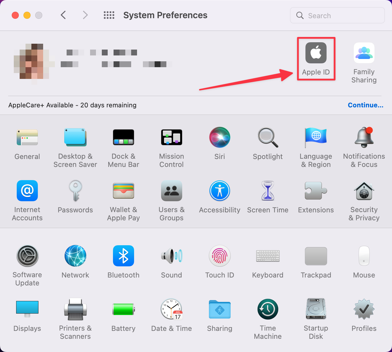 Open macOS System Preferences